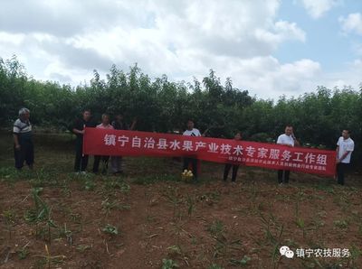 镇宁县“揭榜挂帅”创新技术，科学指导保障粮食增长与家禽技术服务