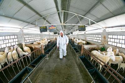 筑牢免疫屏障，护航产业发展——吴兴区东林镇扎实推进秋季动物防疫与家禽技术服务