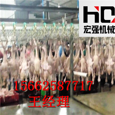 现代化淘汰蛋鸡宰杀屠宰流水线的技术解析与家禽产业升级